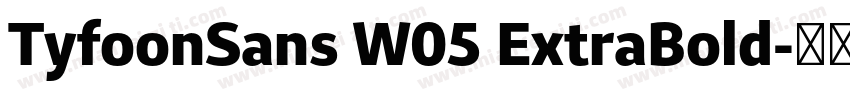 TyfoonSans W05 ExtraBold字体转换